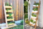 Vertical Gardening Hacks for Small Urban Spaces