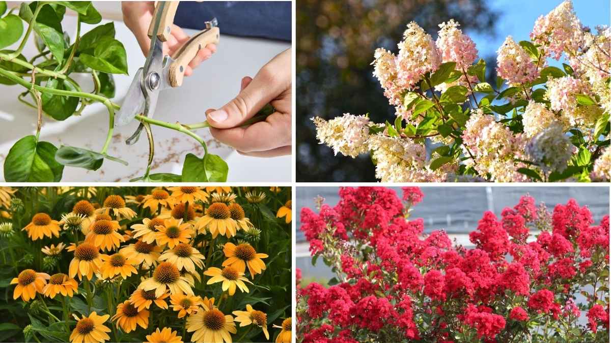 Whispers in the Wind: What Your Garden’s Saying This November