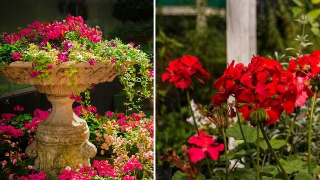 Top 5 Secrets from Blooms & Beyond: Mastering the Art of Flower Gardening
