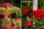 Top 5 Secrets from Blooms & Beyond: Mastering the Art of Flower Gardening