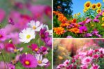 Top 6 Must-Have Essentials for a Blooming Spring Garden
